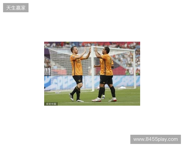 狼队主帅谈若塔致敬仪式：令人动容的时刻，利物浦极具风范